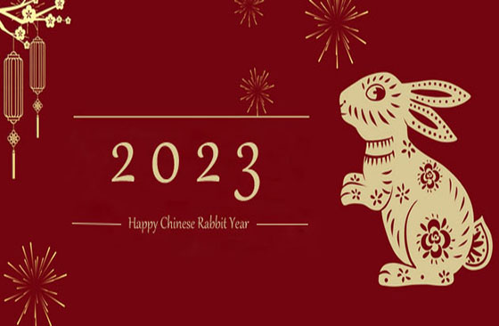Happy Chinese Rabbit New Year